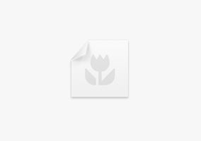Knowledge Base Article
